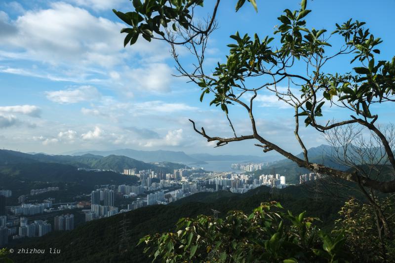 整个沙田一览无余，甚至在其中可以找到怡雯的学校——香港中文大学之所在。